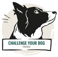 Challenge Your Dog