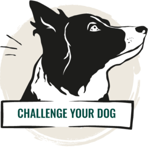 Challenge Your Dog